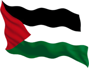 palestinian-flag-wave-design
