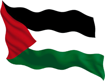 palestinian-flag-wave-design