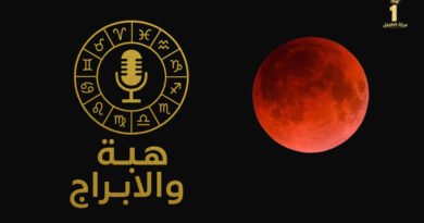 هبه الفرماوي